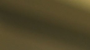 En Florida, miles de inconformes con el veto del presidente acudieron al aeropuerto en Miami.