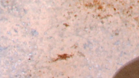 Consulten horarios y proyecciones en www.filmlinc.org