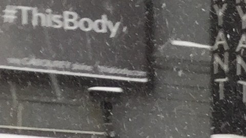 Así lucía el área de Fulton Mall ayer al mediodía en medio de la nevada