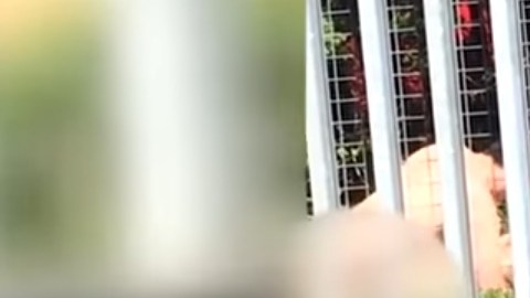 Los jóvenes estaban completamente desnudos.