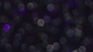 Lourdes Garzón se presenta en Twitter como la directora de Vanity Fair México.