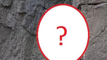 Esta "Lynx canadensis" ayudará a preservar a su especie.