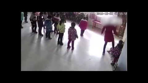 maestra