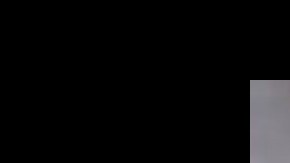 pajaros