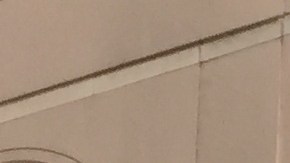 La protesta en Filadelfia coincidió con la presencia de Trump en esa ciudad.