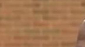 El mejor momento profesional de Iván Rodríguez.