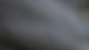 El gobierno de EEUU no especificó la procedencia de los refugiados que deberá recibir.