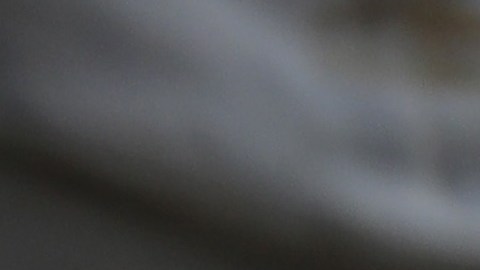 El gobierno de EEUU no especificó la procedencia de los refugiados que deberá recibir.