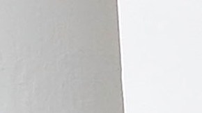 Los Obama y los Trump tuvieron una reunión en la Casa Blanca.