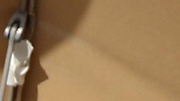 Sasha Obama se ausentó del último discurso público de su padre.