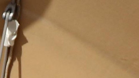 Sasha Obama se ausentó del último discurso público de su padre.