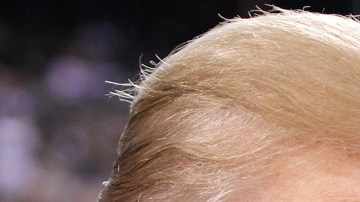 melania donald trump