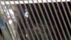 El hallazgo fue en la estación de la calle 9.