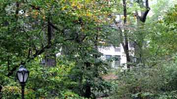 El recorrido por la Villa Séneca es guiado por expertos del Central Park.