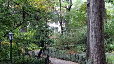 El recorrido por la Villa Séneca es guiado por expertos del Central Park.