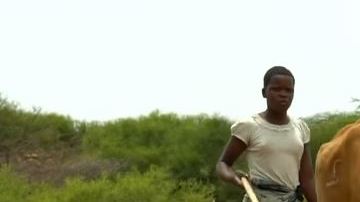 vaca tanzania