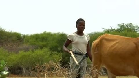 vaca tanzania