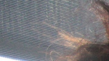 El Registro de Inmunización de toda la ciudad fue lanzado en 1996 y contiene expedientes de aproximadamente 6.4 millones de pacientes.