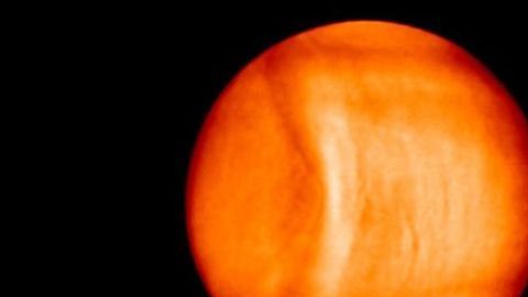 venus