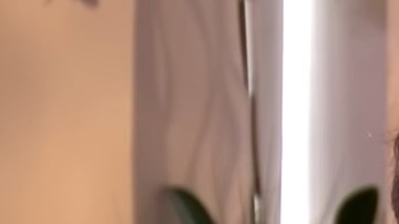 En varias entrevistas, el expresidente mexicano, Vicente Fox, ha hablado en contra del muro de Trump.