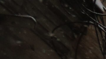 La tormenta de nieve Niko azota la Ciudad de Nueva York.