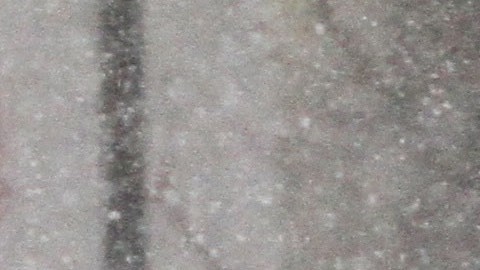 Tormenta de nieve azota la Ciudad de Nueva York. Cancelando las escuelas y pidiendo a la populacion que tenga cuidado.