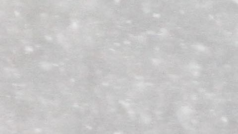 Tormenta de nieve azota la Ciudad de Nueva York. Cancelando las escuelas y pidiendo a la populacion que tenga cuidado.