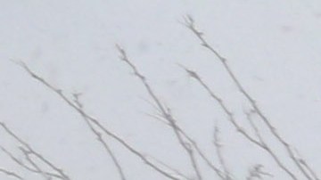 Tormenta de nieve Niko, que azota la Ciudad de Nueva York.