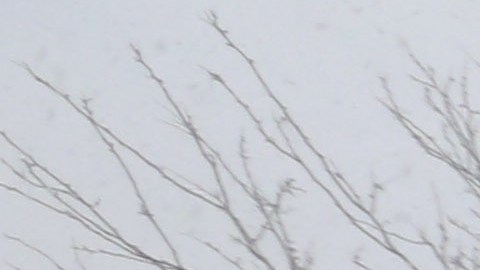 Tormenta de nieve Niko, que azota la Ciudad de Nueva York.