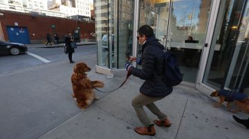 Cesar Fernandez Chavez y su perra Loubotina dando abrazos en Manhattan.