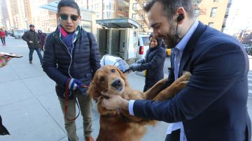 Cesar Fernandez Chavez y su perra Loubotina dando abrazos en Manhattan.