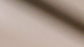 Presidente del condado de El Bronx, Ruben Diaz Jr.durante el Estado del Condado en la Escuela John F. Kennedy en el Bronx.