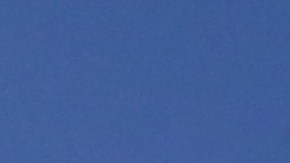 Negocios reciben los cupones de Alimentos y ahora van a poder ordenar online.