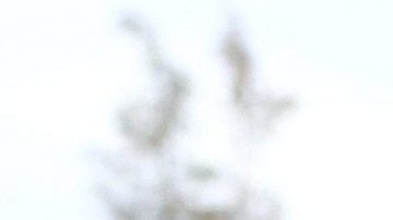 Angelina Jolie visita el Puerto del Pireo cerca de Atenas, Grecia, para ver las instalaciones facilitadas a los refugiados.