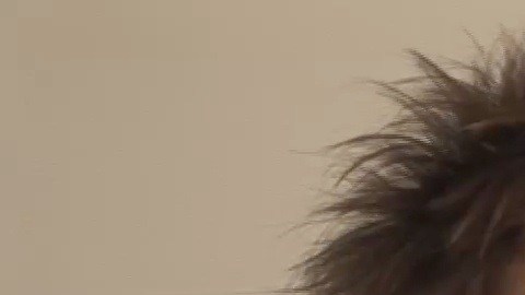 Stewart, de 37 años, filmaba un nuevo documental sobre tiburones cerca de Islamorada, Florida.