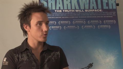 Stewart, de 37 años, filmaba un nuevo documental sobre tiburones cerca de Islamorada, Florida.
