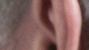 El nuevo secretario de Comercio, Wilbur Ross, en una junta en la Casa Blanca, el 23 de febrero de 2017.