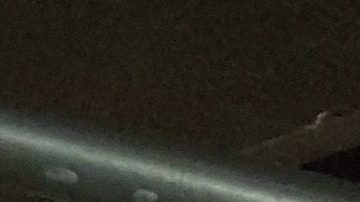 Ecuatorianos votan en Queens, Nueva York.