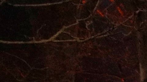 Tras la agresión a Théo, decenas de jóvenes protagonizaroon más protestas en el norte de Francia.