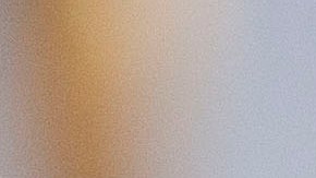 Gael García Bernal presentó un premio en la ceremonia de los Oscar.