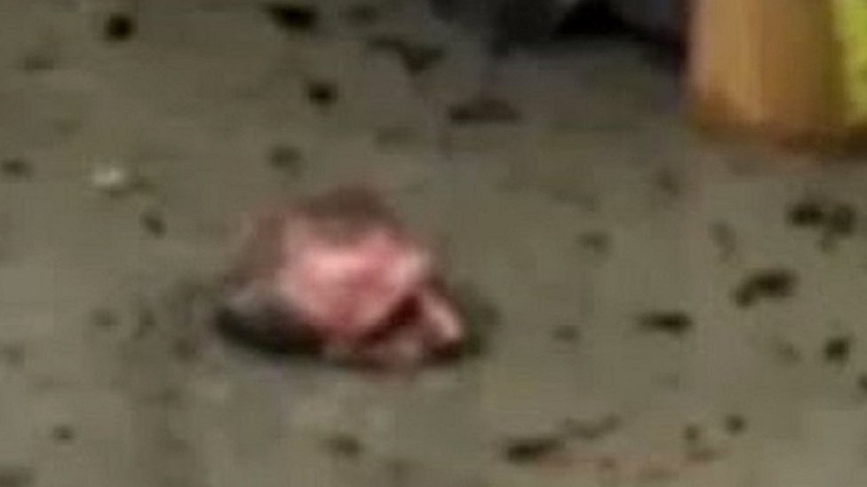 Video: La increíble forma en que este hombre evitó morir sepultado por el lodo