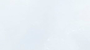 No faltaron los besos y carantoñas en su picnic junto al mar.