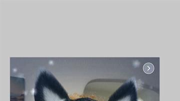 facebook stories