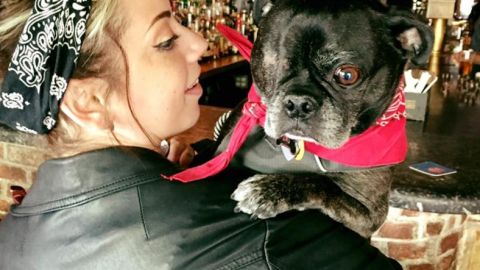 Hay varios restaurantes en Nueva York que permiten que lleves a tu mascota.