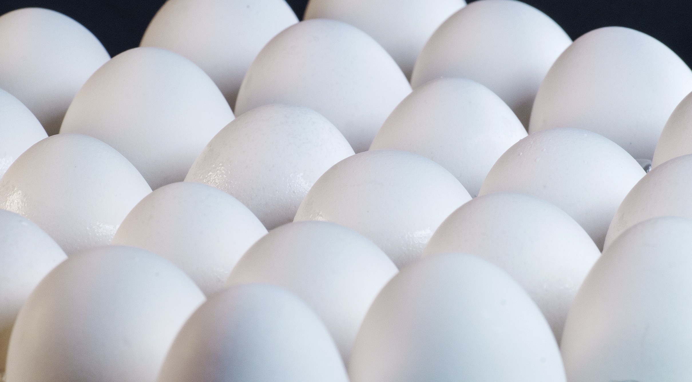 El huevo es un producto de consumo básico en México.