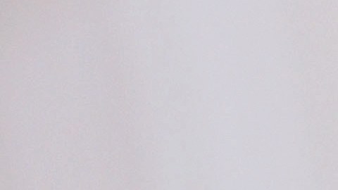 La pareja ya es padre de una niña, Blue Ivy.