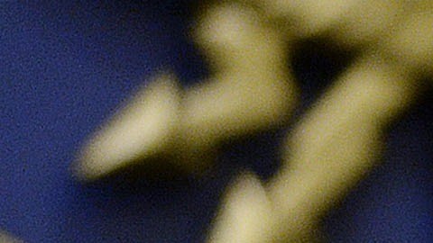 El apoyo a la política migratoria de Trump se relaciona con temas de seguridad.