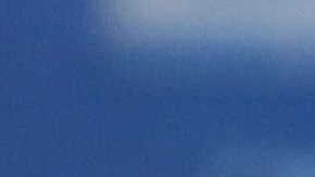 Sean Spicer olvidó por completo a los millones de judíos asesinados en las cámaras de gas de los campos de concentración.