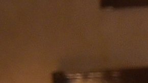 Muchos políticos extranjeros aceptarían comer en los restaurantes de Trump con el fin de contentar al presidente.