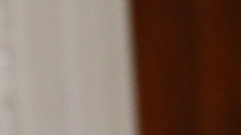 Existen sospechas de que Steve Bannon creó el SIG para seguir de cerca los pasos de Michael Flynn.